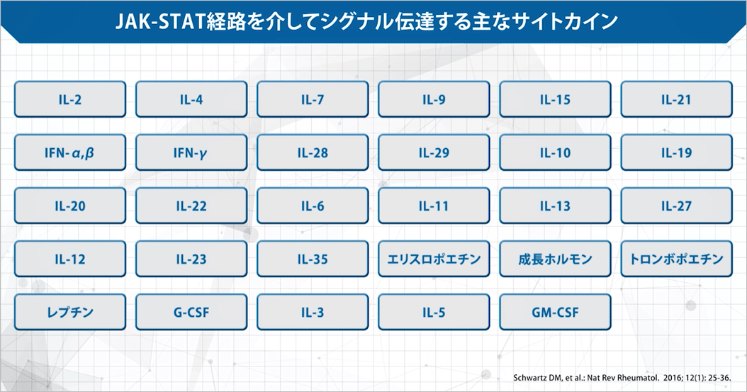 JAK-STAT経路を介してシグナル伝達する主なサイトカイン