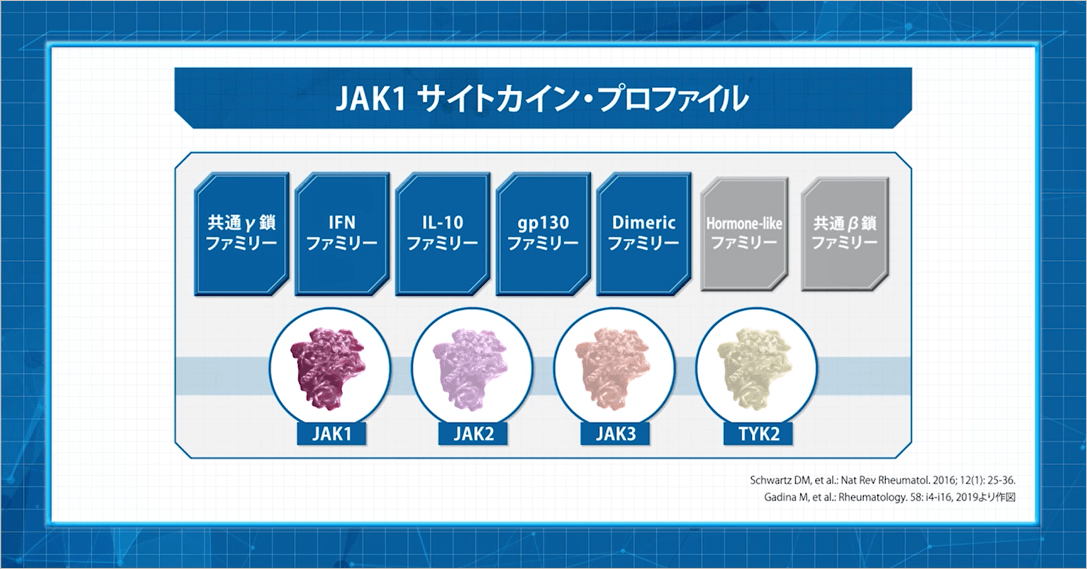 JAK1 サイトカイン・プロファイル