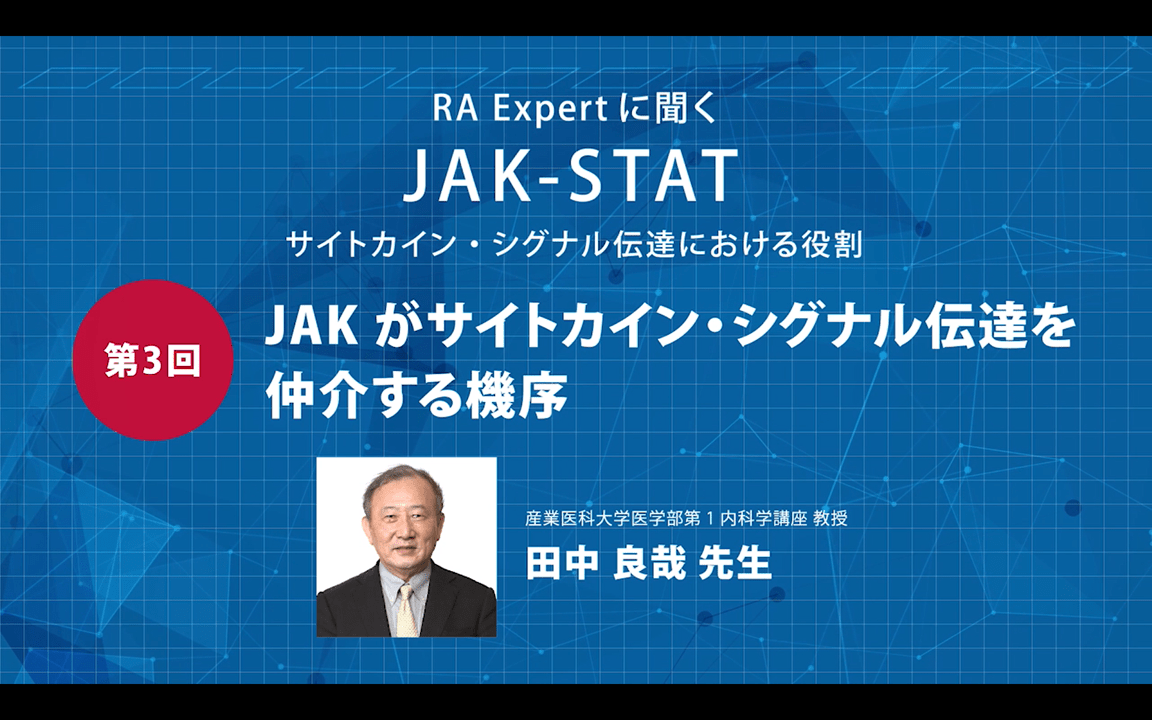 JAKがサイトカイン・シグナル伝達を仲介する機序