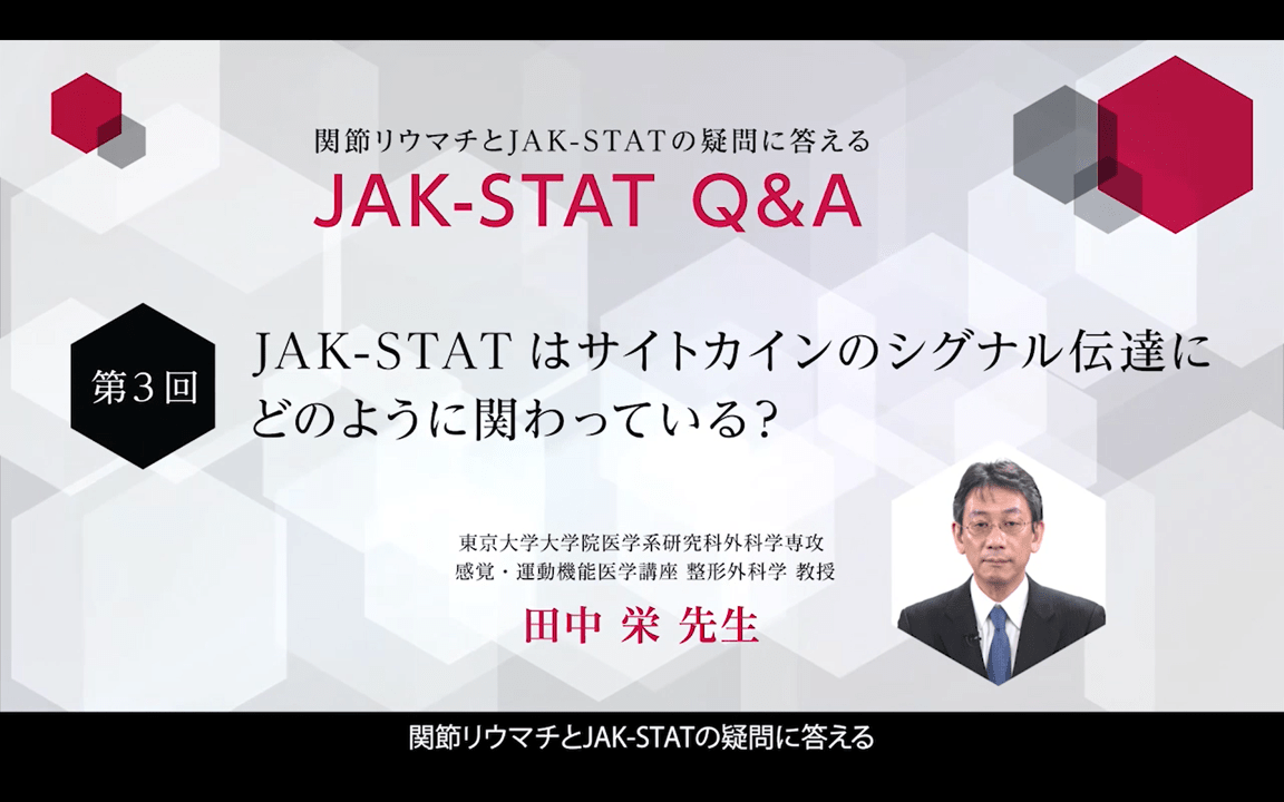 JAK-STATはサイトカインのシグナル伝達にどのように関わっている？