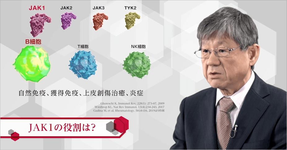 医療関係者向け情報サイト4種類のJAKのそれぞれの役割は?