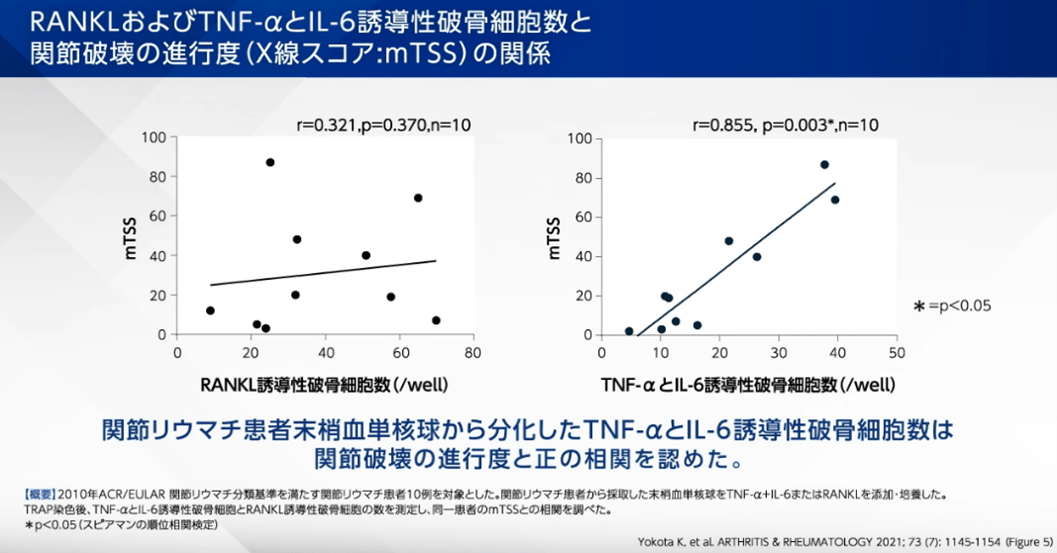 RANKLおよびTNF-αとIL-6誘導性破骨細胞と関節破壊の進行度の関係