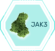 JAK-STAT経路の調節_JAK３