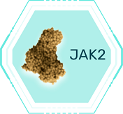 JAK-STAT経路の調節_JAK２