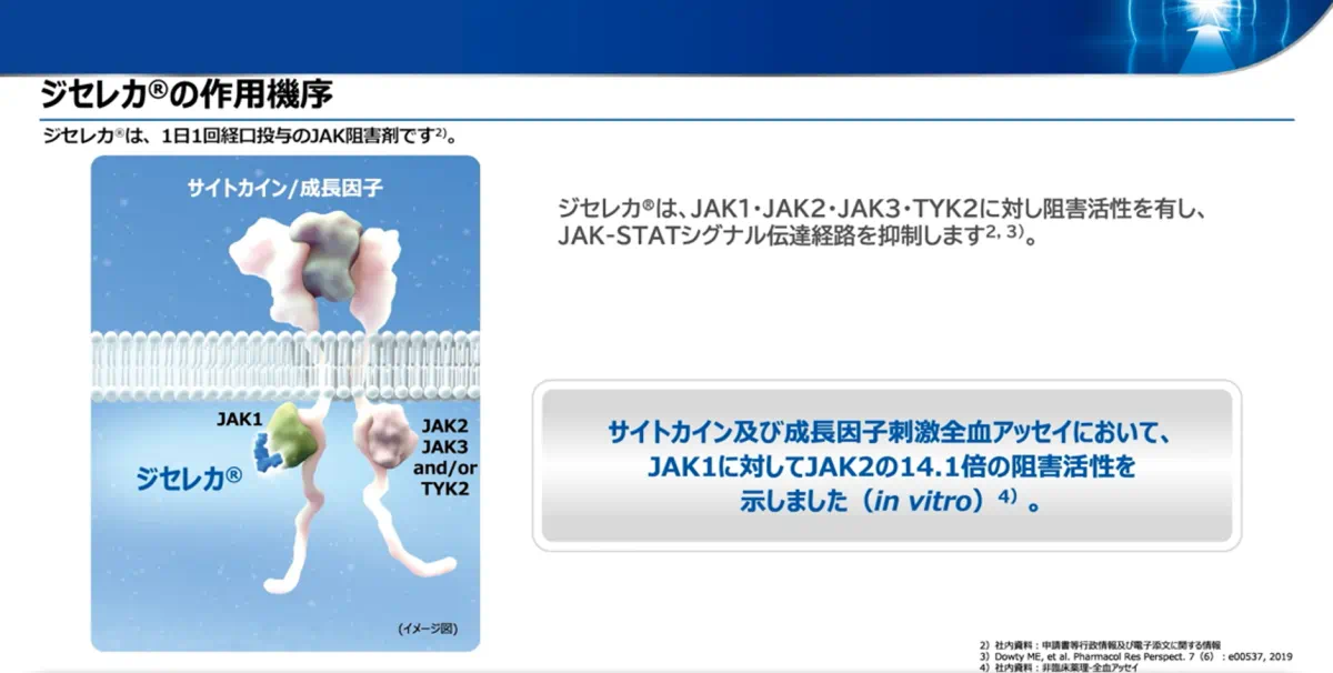 ジセレカ®の作用機序