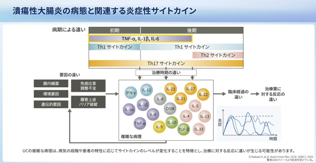 潰瘍性大腸炎の病態と関連する炎症性サイトカイン